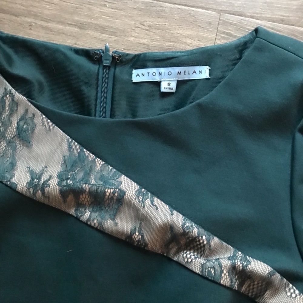 Antonio Melani Long Sleeve Dress